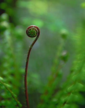 i282600889607728264._szw1280h1280_