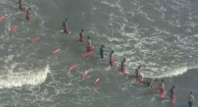 i282600889607830090._szw1280h1280_