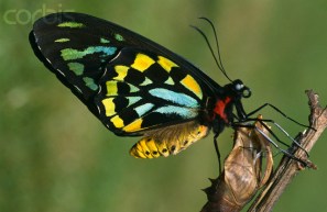 i282600889609643425._szw1280h1280_