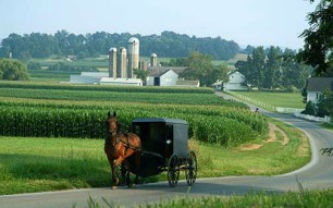 i282600889612424793._szw1280h1280_