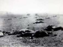 i282600889612593703._szw1280h1280_