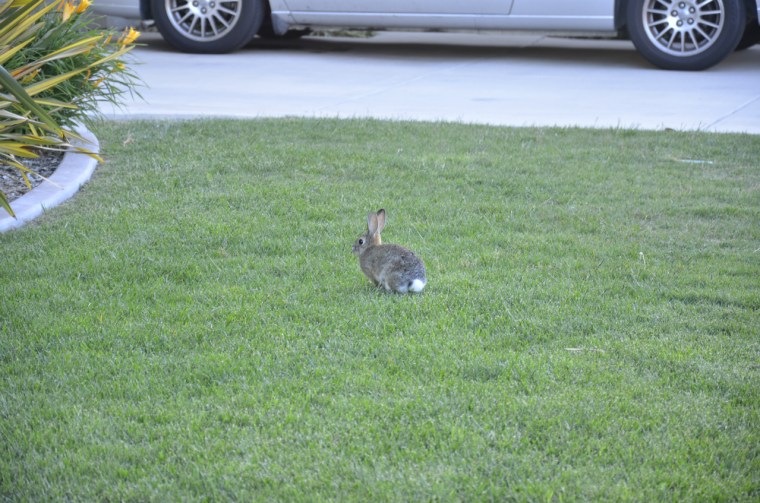 i282600889618897273._szw1280h1280_