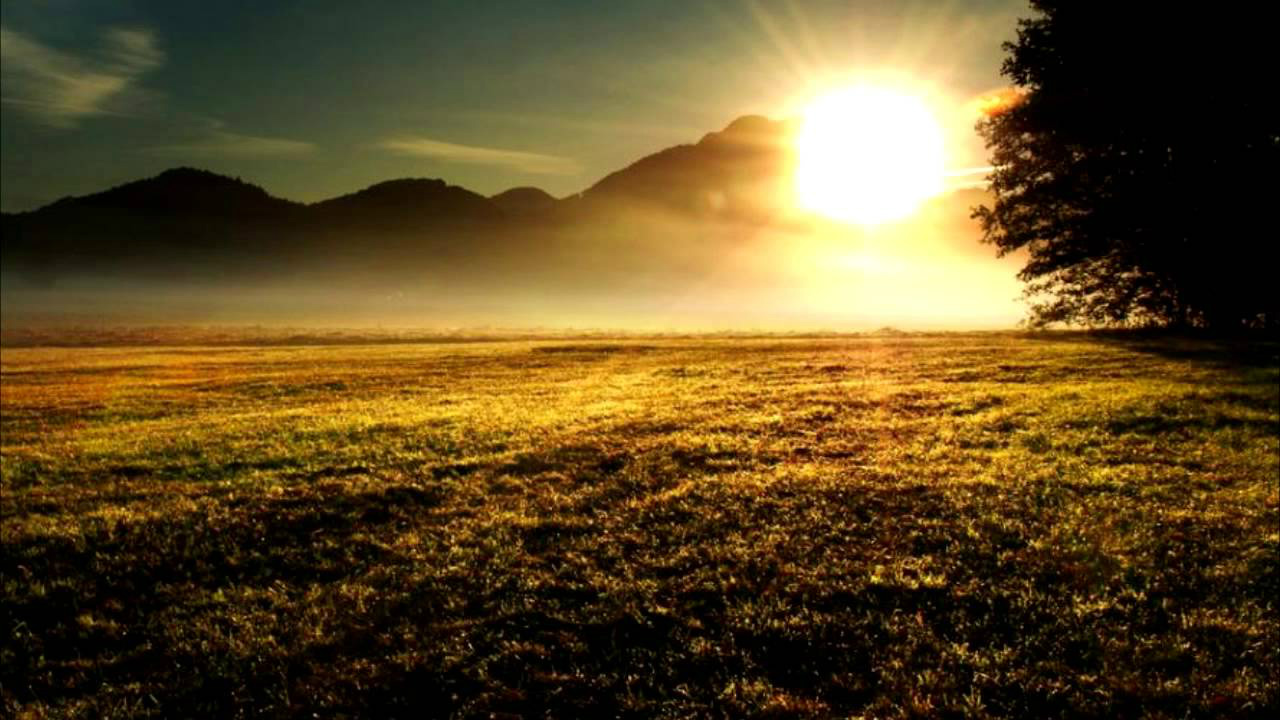 i282600889617671497._szw1280h1280_