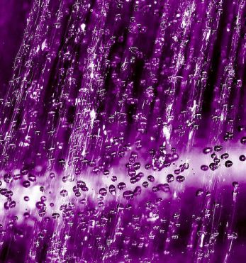 purple-rain-3
