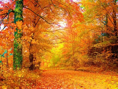 first-day-of-autumn-weather-for-all-love-season-3