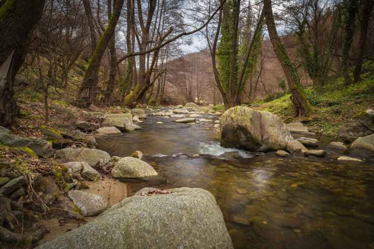 beautiful boulders branches creek