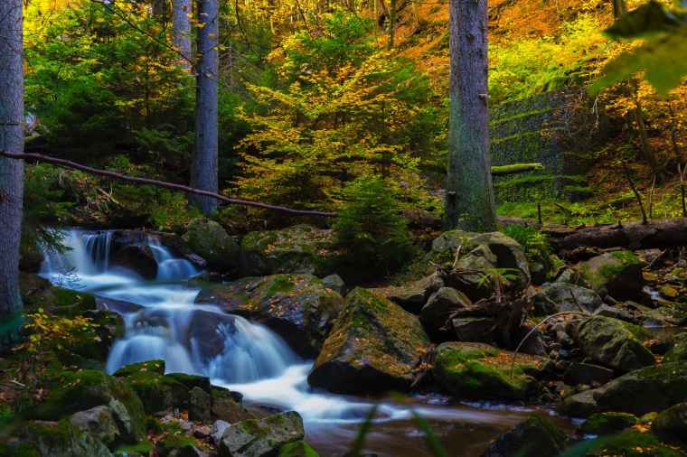 timelapse photography of falls near trees