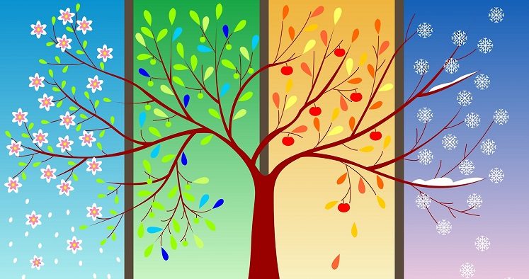 Four-seasons-tree-1r-747x394